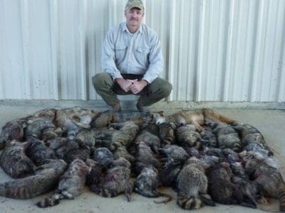 Mark Buxton - Southeastern Wildlife Habitat Services