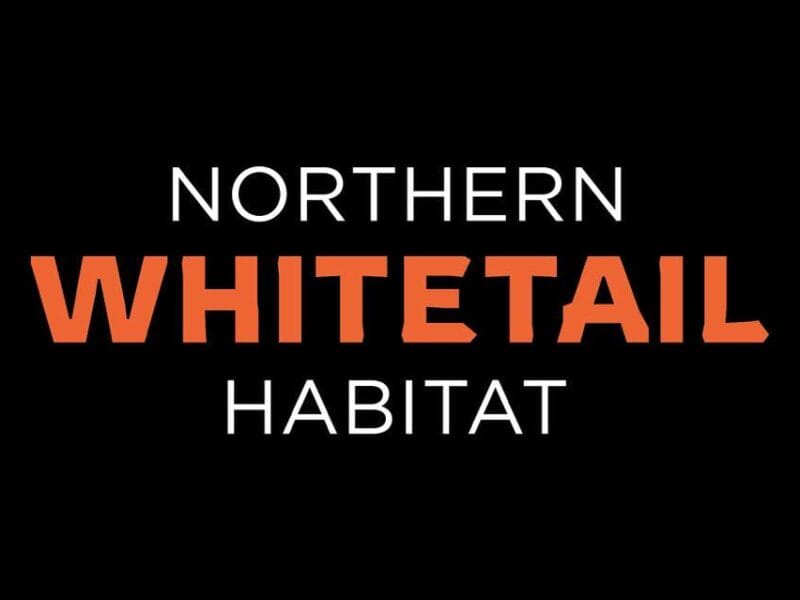 Northern Wildlife Management L.L.C