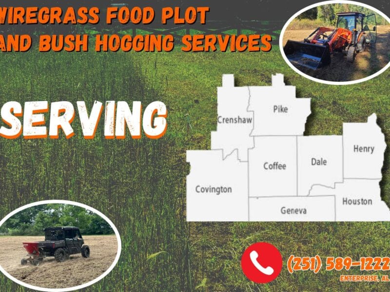 Wiregrass Food Plot and Bush Hogging Services