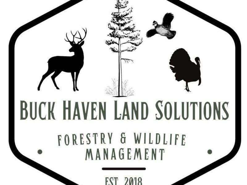Buck Haven Land Solutions