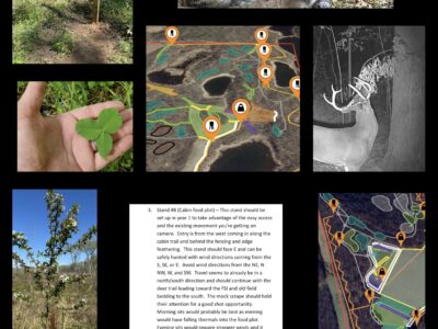 Hidden Habitat Land Management