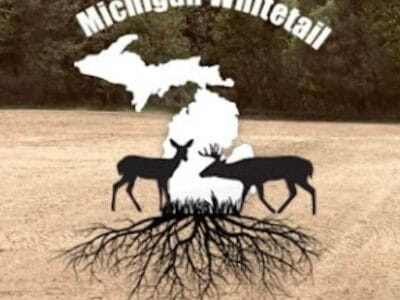 Michigan Whitetail Food Plots
