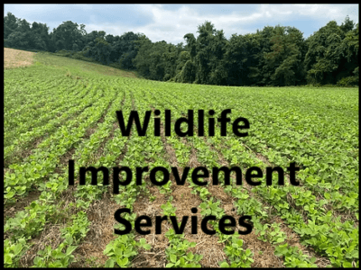 Wildlife Improvement Services