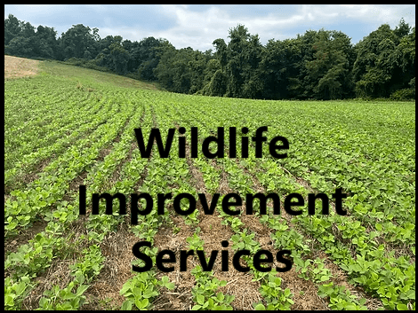 Wildlife Improvement Services