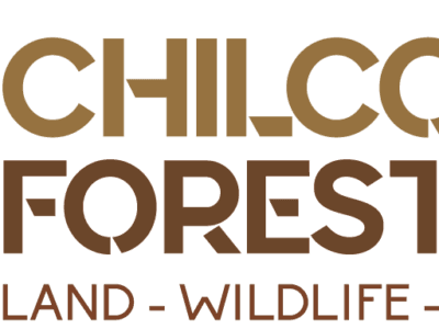 Stephen A. Chilcote Land & Timber Consulting