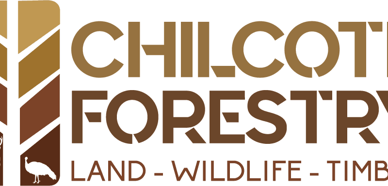 Stephen A. Chilcote Land & Timber Consulting